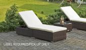 Protivin Reclining Chaise Lounge with Cushion